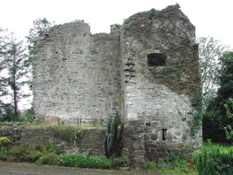 Crevenish Castle